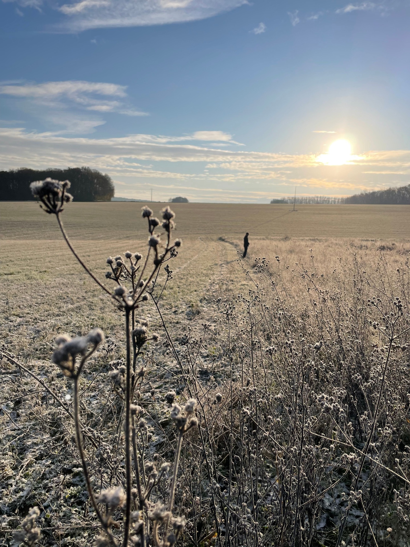 Ecoliving le Chemin – Terrasse et espaces extérieurs à Blennes (77), proche Fontainebleau